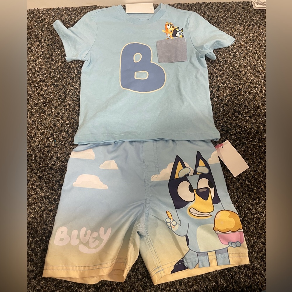 NWT 4T Bluey Beach Set